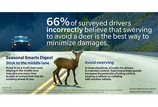 Farmers Insurance Deer Safety Infographic
